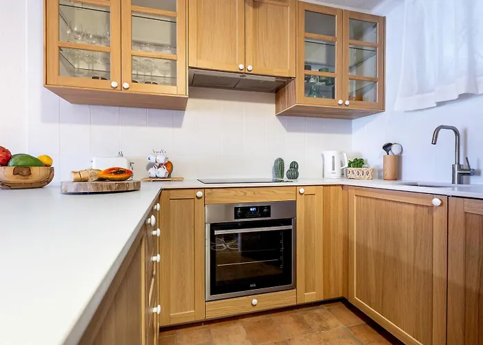 Apartment Parque Santiago 1 Ground Floor Garden Playa de las Americas (Tenerife)